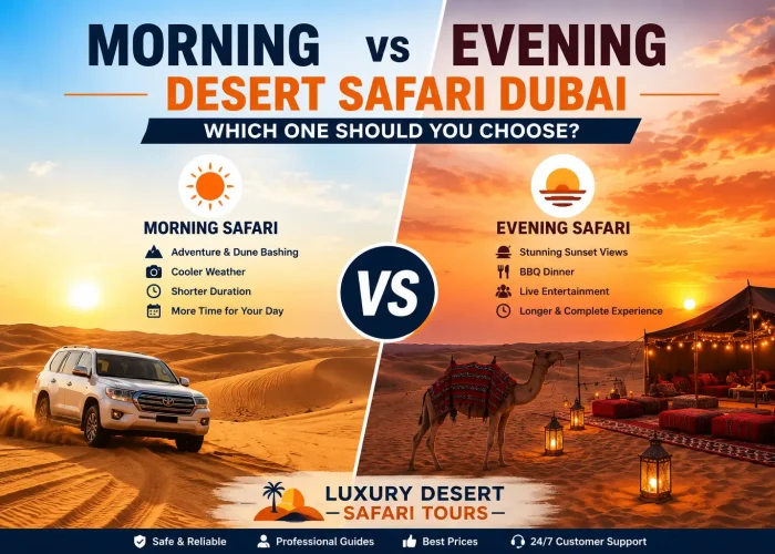 Morning vs Evening Desert Safari Dubai Detail